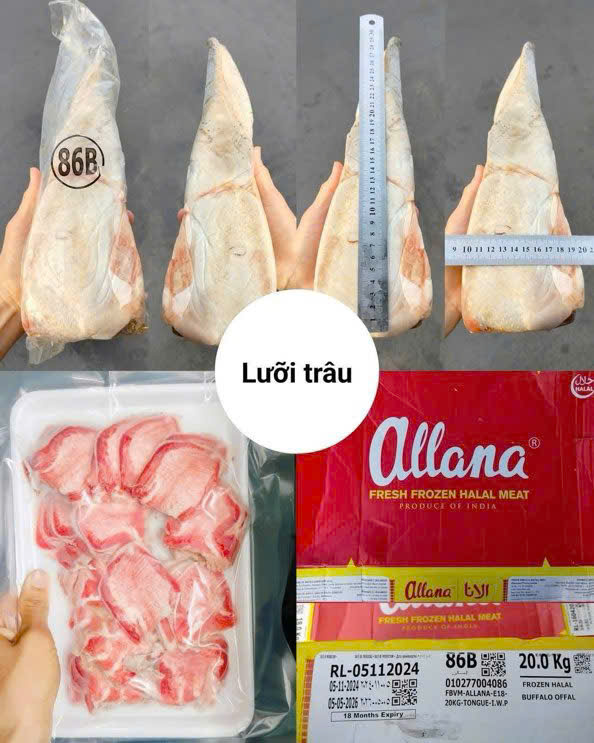 Lưỡi trâu ấn độ allana 86b -1