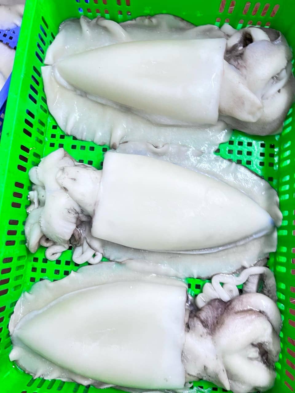 Mực mai làm sạch -2