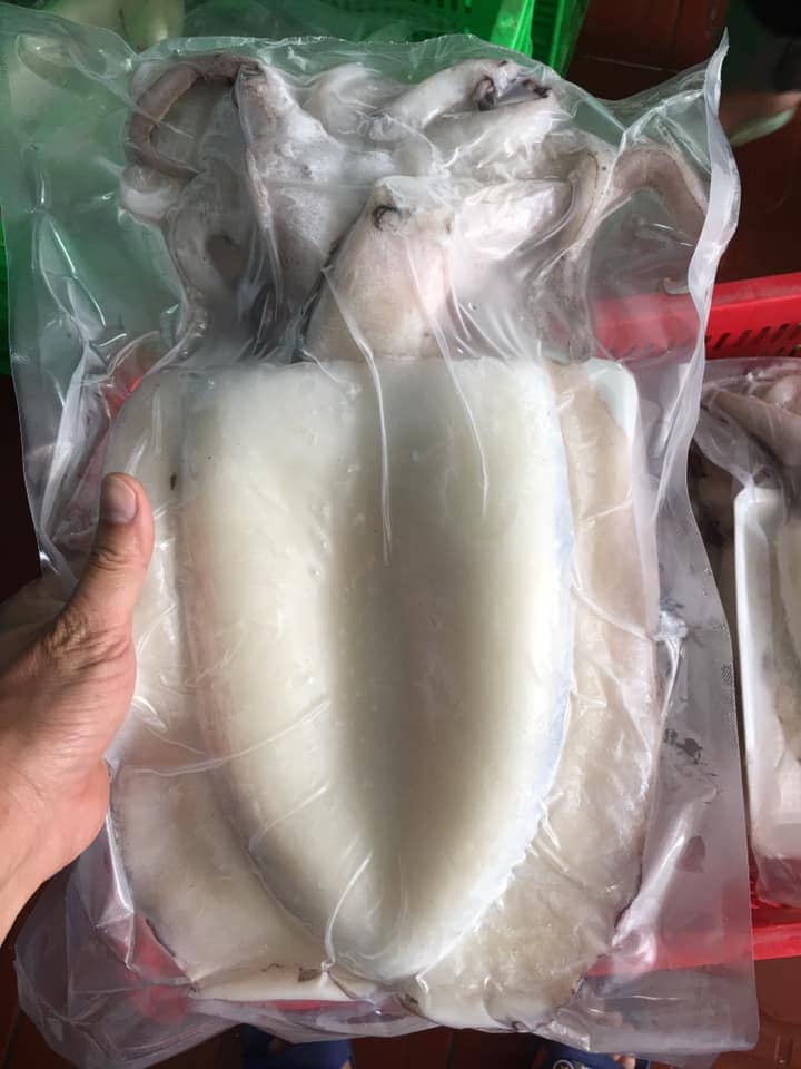 Mực mai làm sạch -4