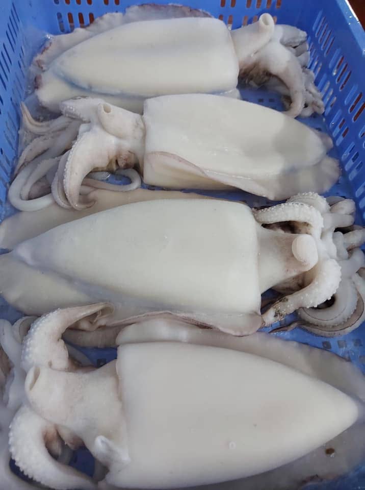 Mực mai làm sạch -5