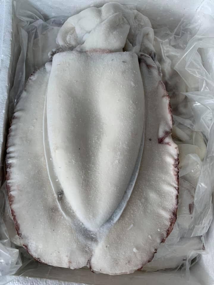 Mực mai làm sạch -8