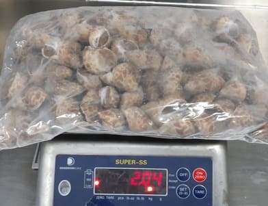 Ốc hương ấn độ 30 50 -2