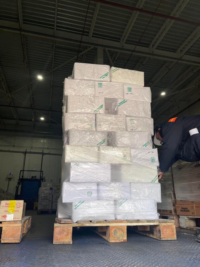 Ốc hương ấn độ 30 50 -5