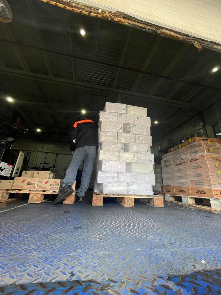 Ốc hương ấn độ 30 50 -6