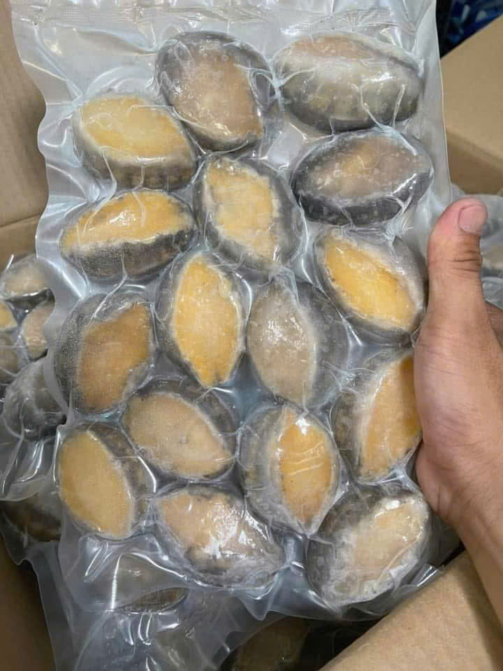 bào ngư hàn quốc size 14 2