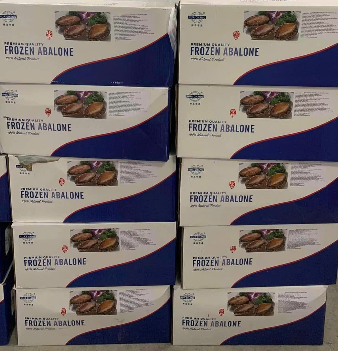 bào ngư hàn quốc size 14