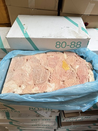 bao tử heo 8088 -1