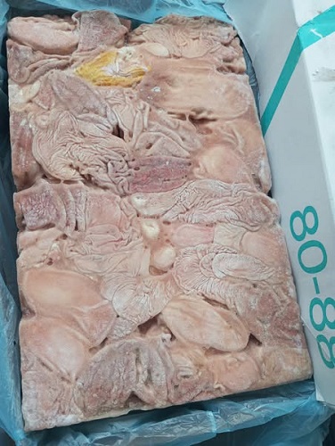 bao tử heo 8088 -3