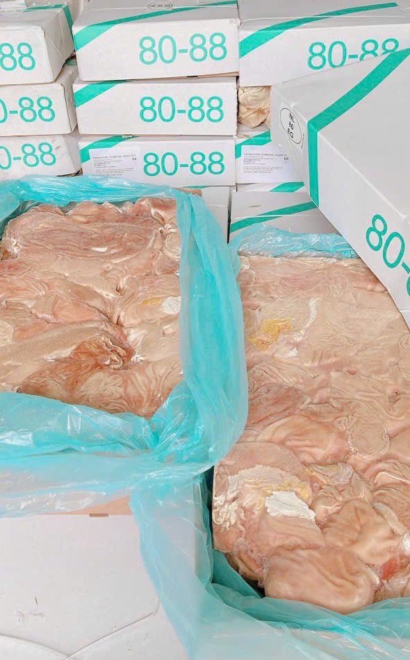 bao tử heo 8088 -8