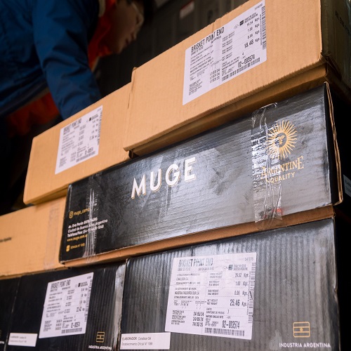 bắp bò muge argntina -5