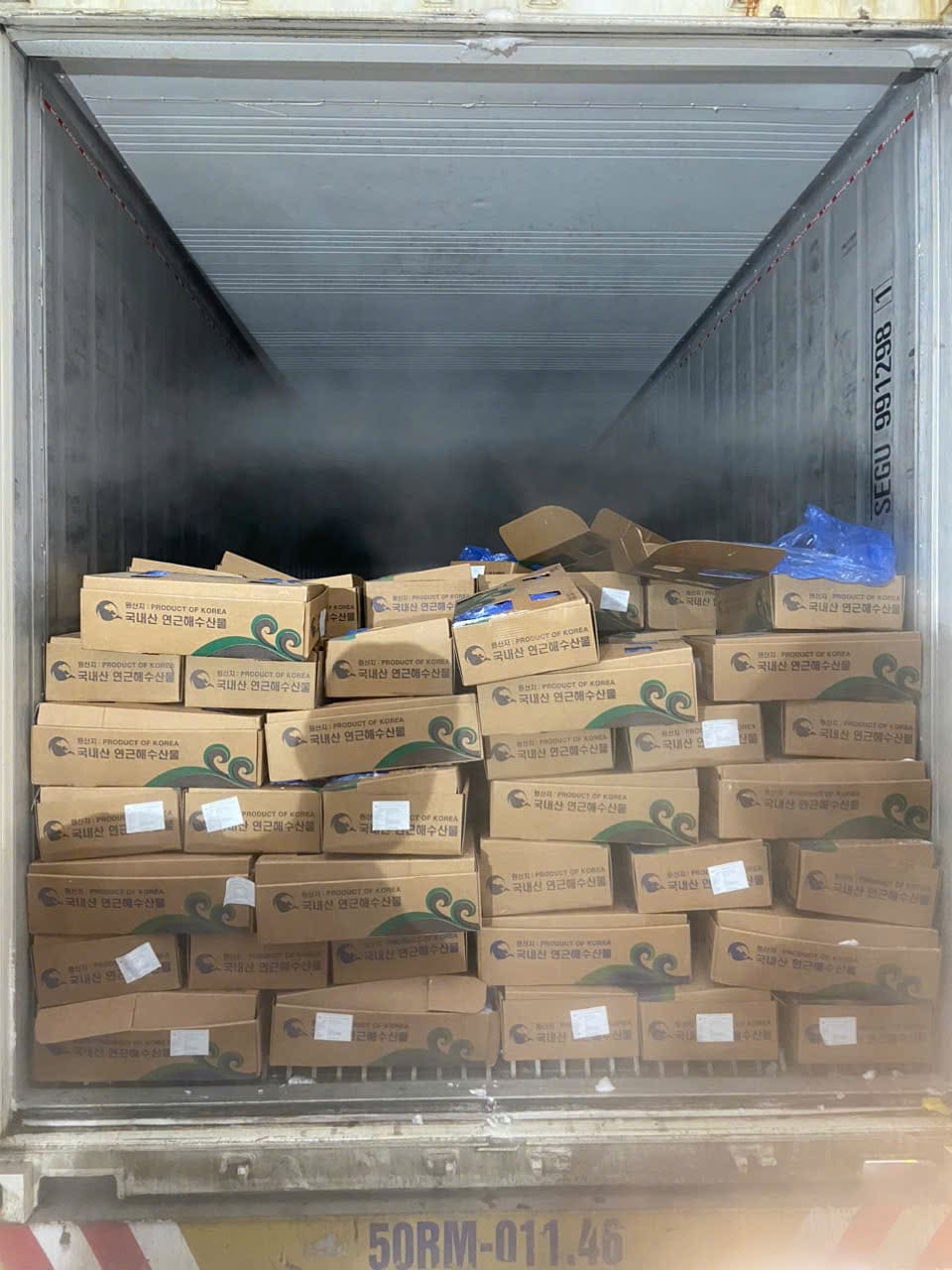 cá cam 500 800gr -6