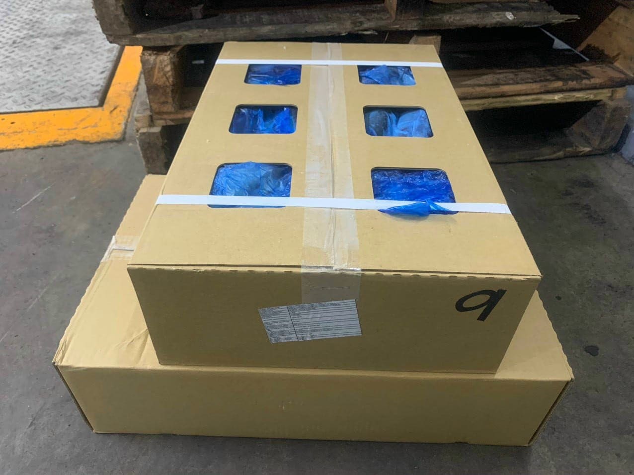 cá sapa nguyên con -2