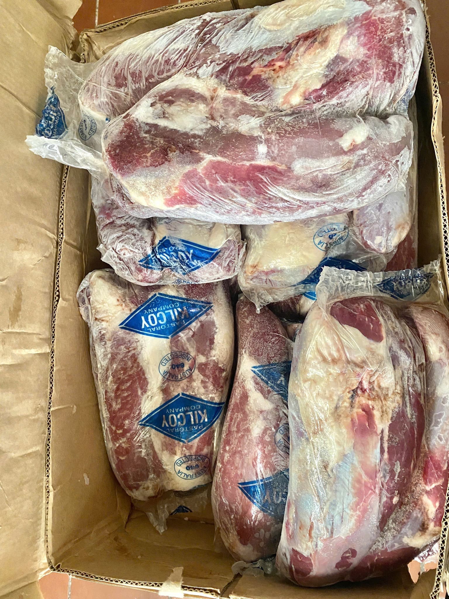 lõi cổ bò kilcoy 2