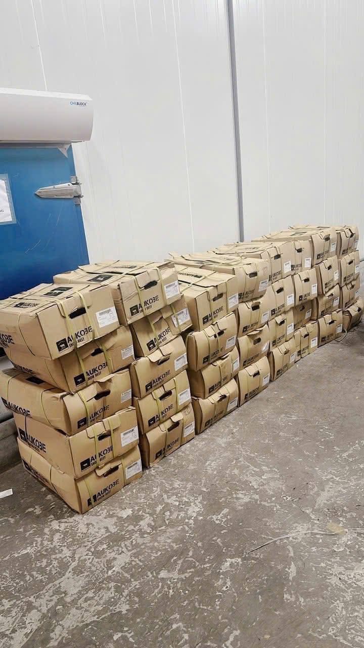 lõi vai bò aukobe 4