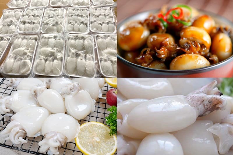 mực nang nút 40 60