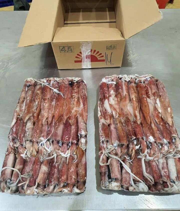 mực ống 300 500gr -7