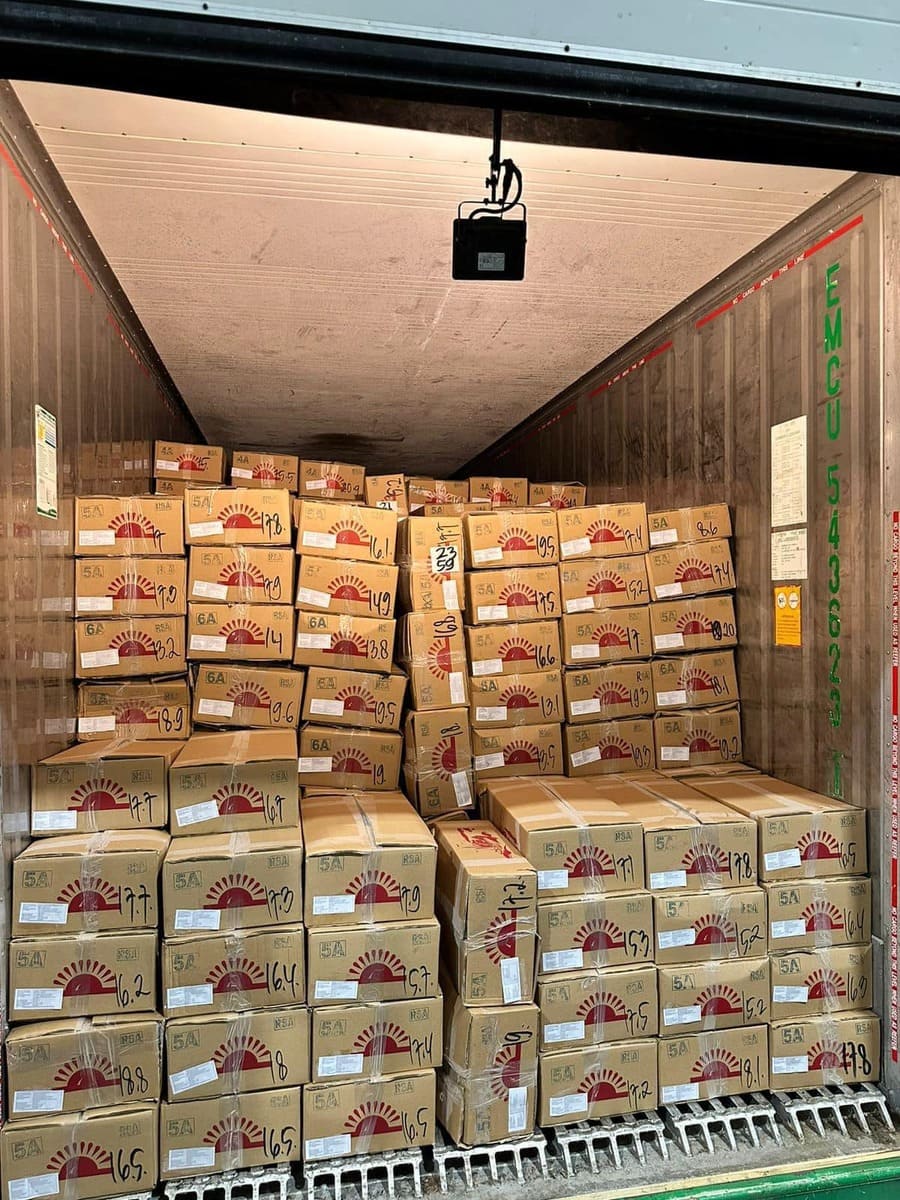 mực ống 300 500gr -8