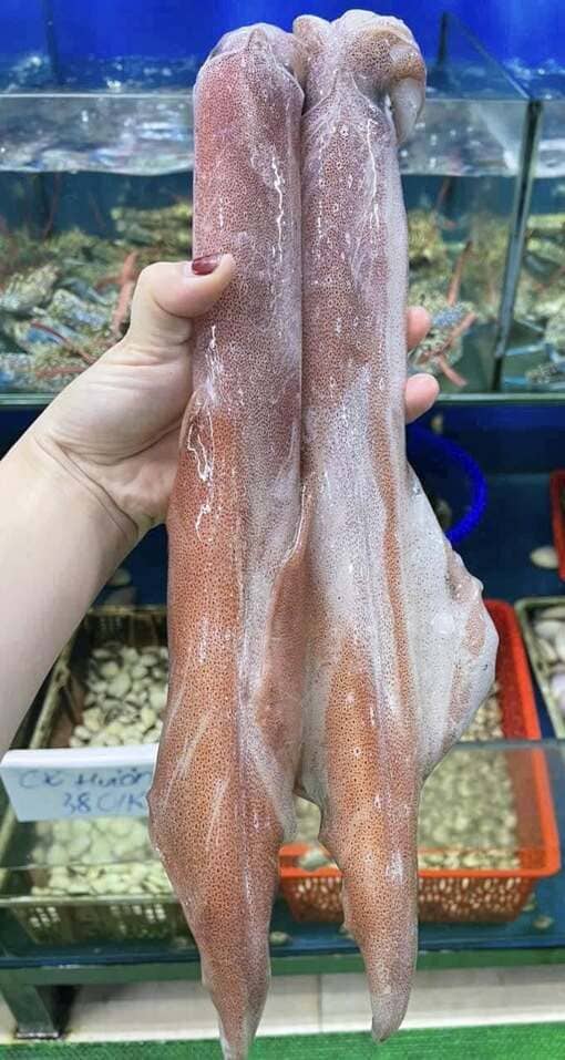 mực ống 300 500gr -9