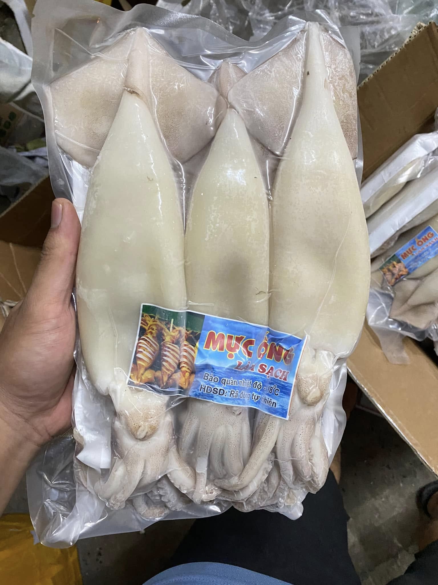 mực ống làm sạch -3