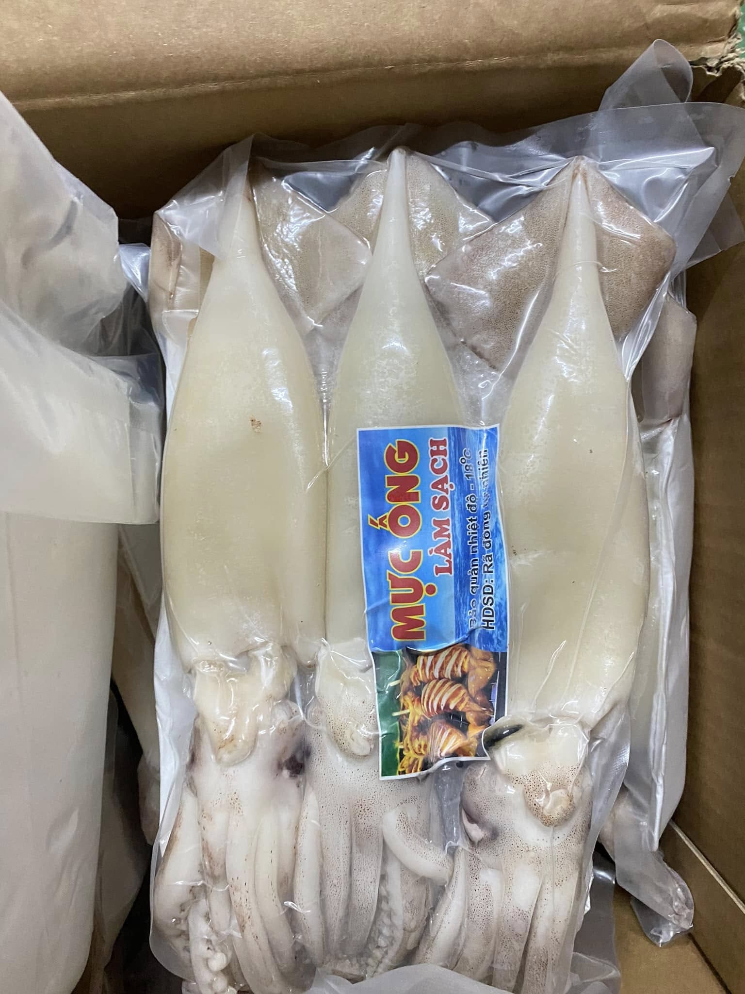 mực ống làm sạch -4