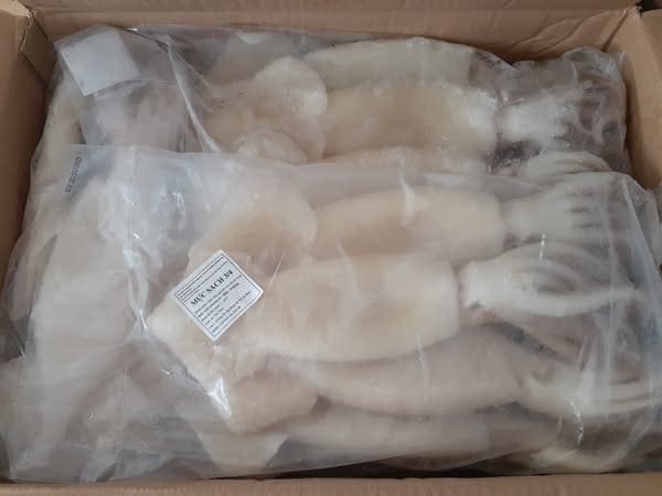 mực ống làm sạch -5