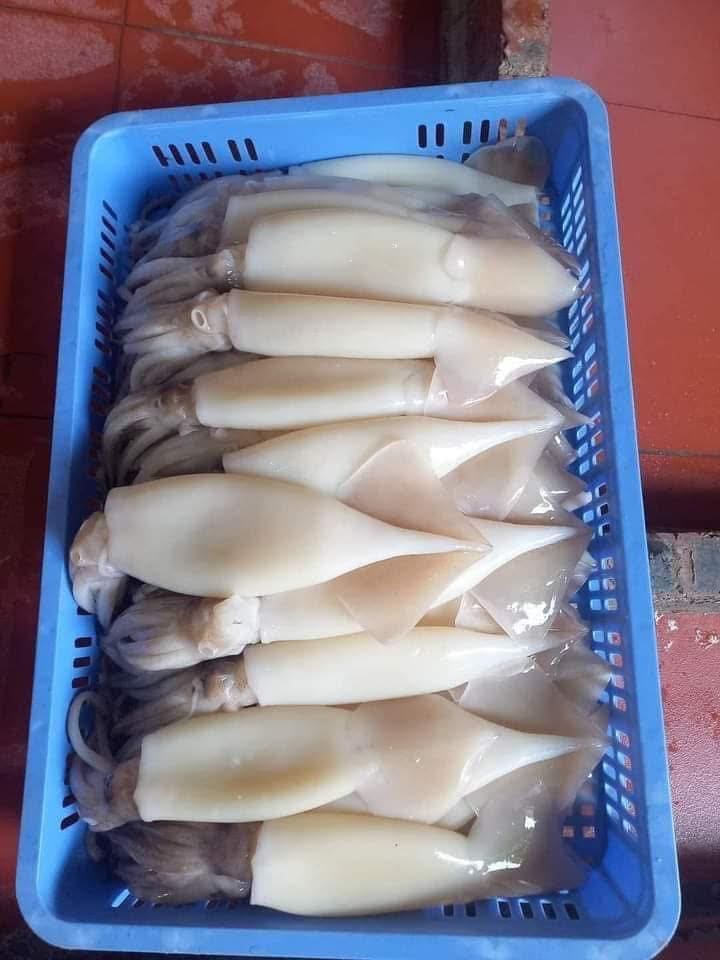 mực ống làm sạch -7