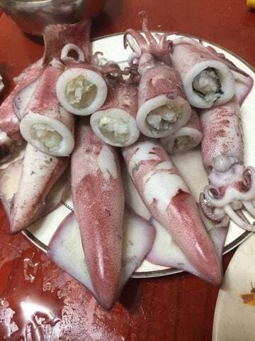 mực ống việt nam 10 15cm -2