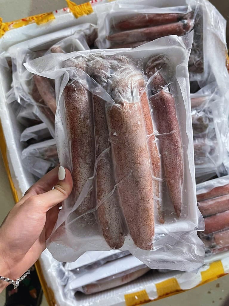 mực ống việt nam 10 15cm -4