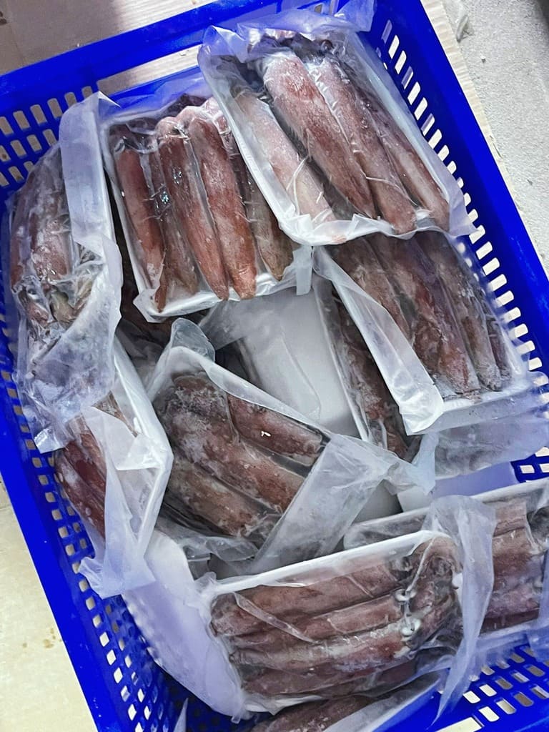 mực ống việt nam 10 15cm -5