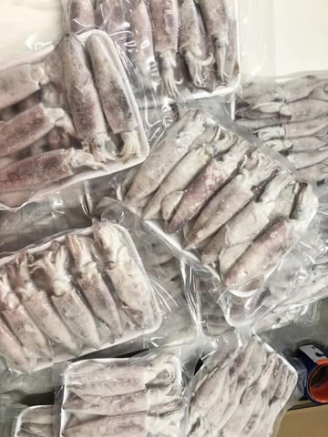 mực ống việt nam 10 15cm -6