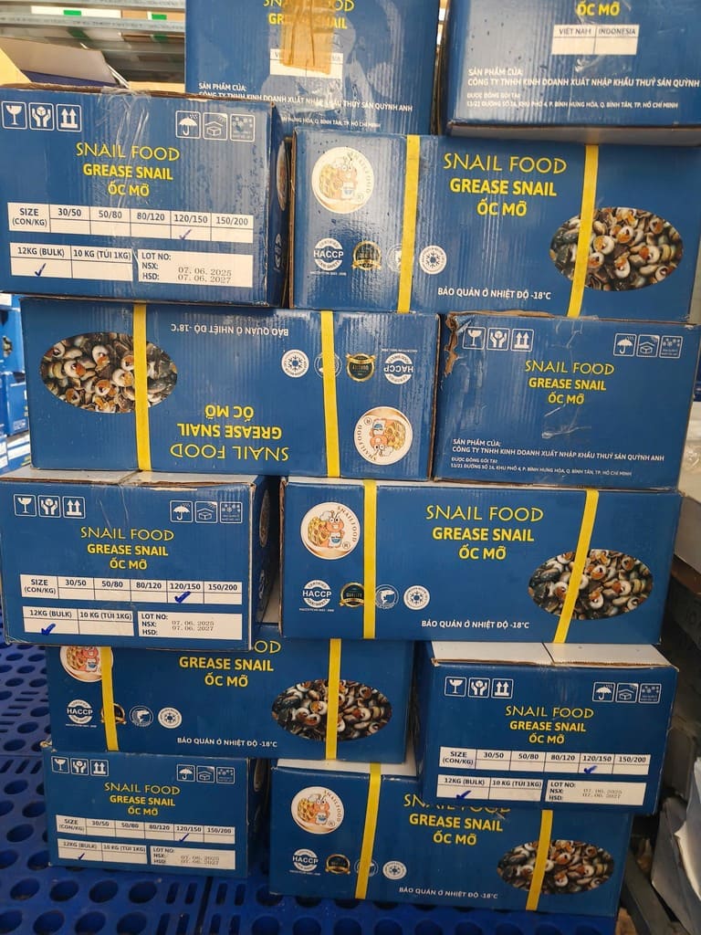 ốc mỡ size 90 120 -5