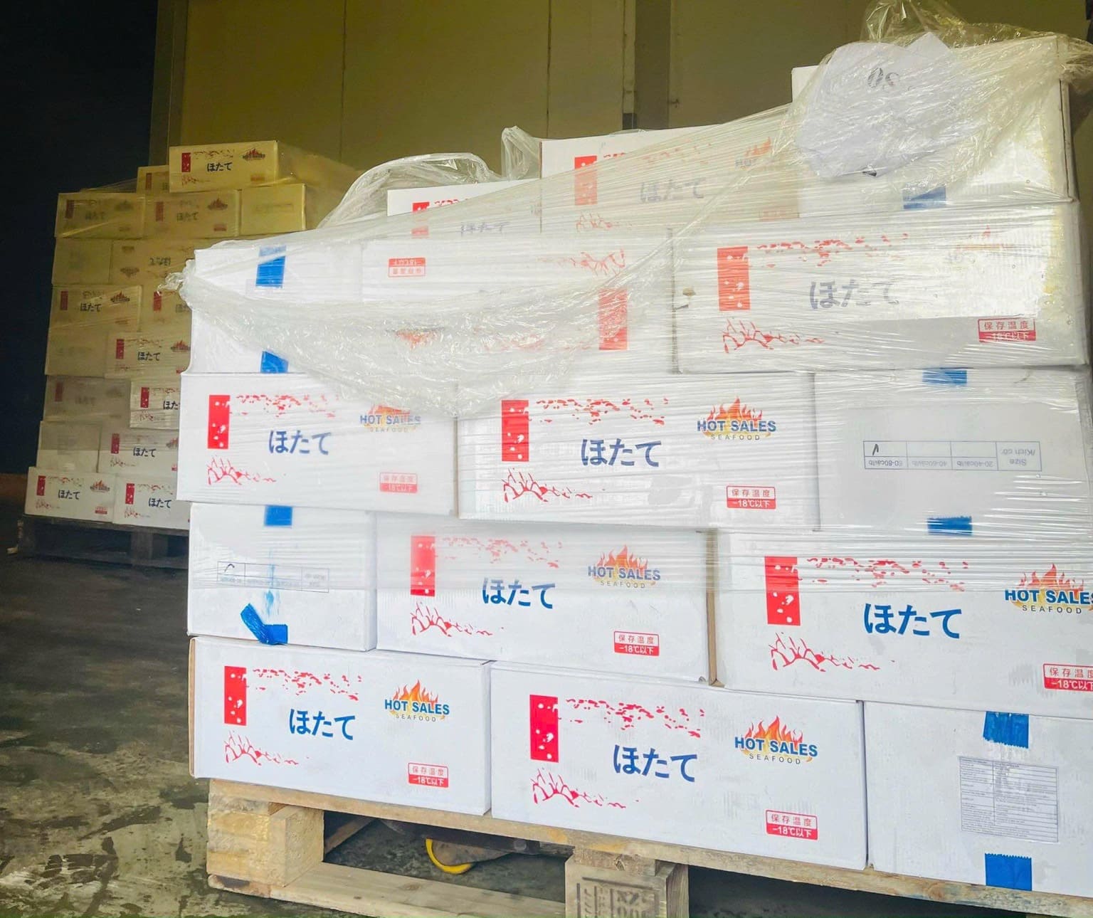 sò điệp mảnh 30 40 -6