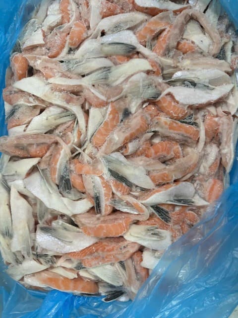 vây cá hồi -3