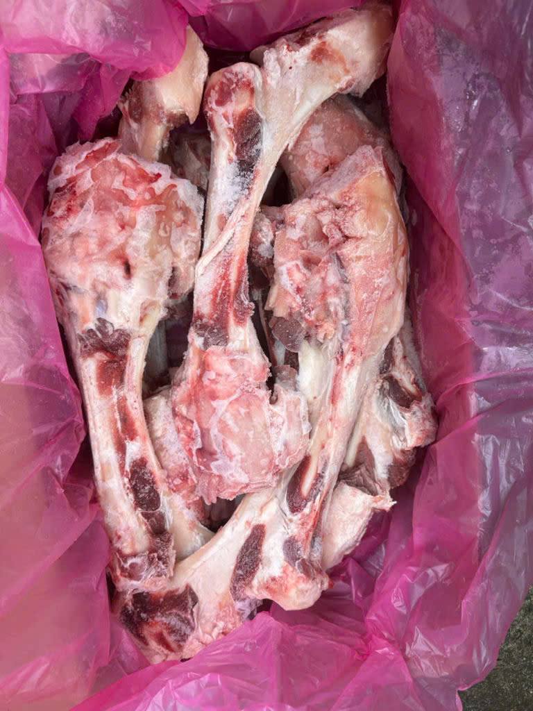 xuong ông bò kilkoy 1 -min