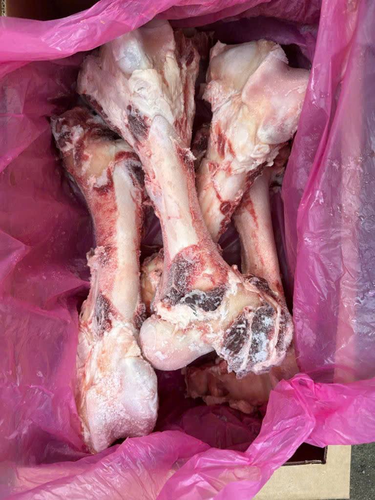 xuong ông bò kilkoy 2 -min