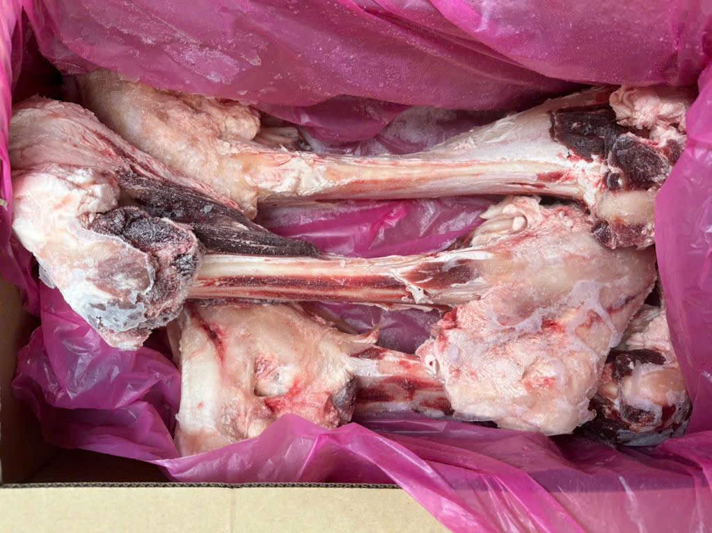 xuong ông bò kilkoy 4 -min