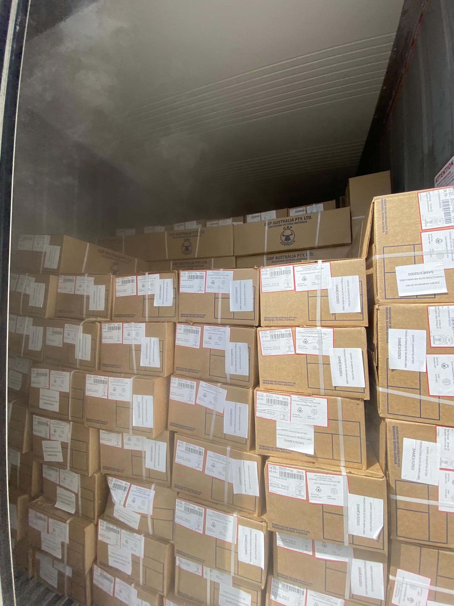 xuong ông bò kilkoy 6 -min