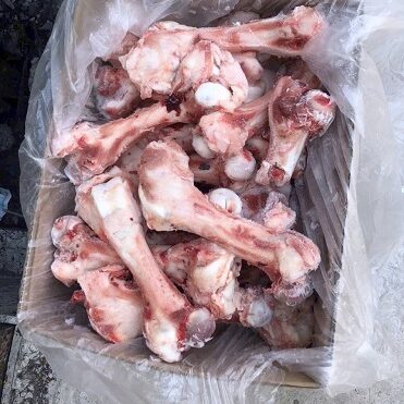 xương ống heo -5