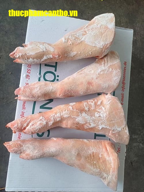 Chân trước heo nguyên cái tonnies Đông lạnh nhập khẩu Đức, thùng 20-22kg (1)