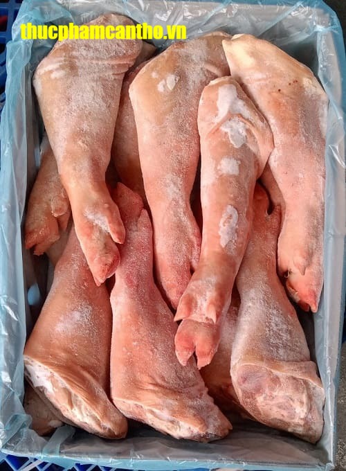 Chân trước heo nguyên cái tonnies Đông lạnh nhập khẩu Đức, thùng 20-22kg (10)