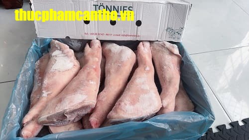 Chân trước heo nguyên cái tonnies Đông lạnh nhập khẩu Đức, thùng 20-22kg (12)