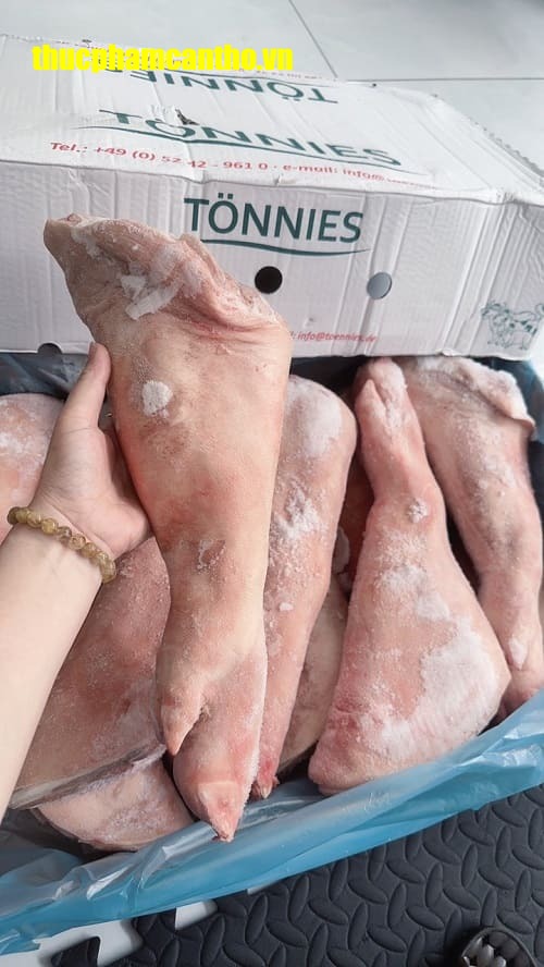 Chân trước heo nguyên cái tonnies Đông lạnh nhập khẩu Đức, thùng 20-22kg (13)