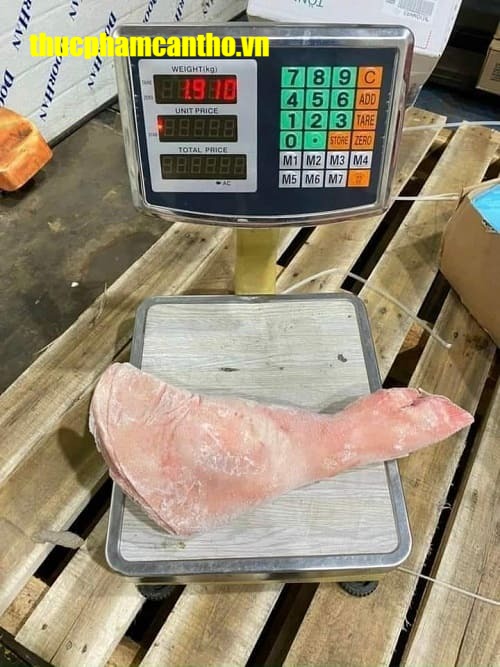 Chân trước heo nguyên cái tonnies Đông lạnh nhập khẩu Đức, thùng 20-22kg (3)