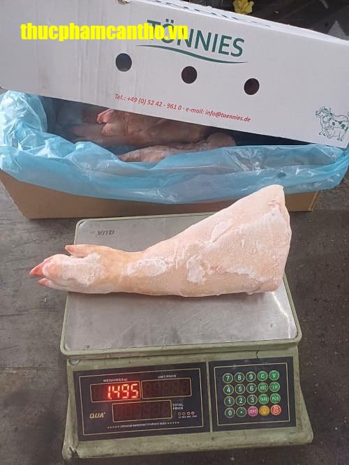 Chân trước heo nguyên cái tonnies Đông lạnh nhập khẩu Đức, thùng 20-22kg (5)
