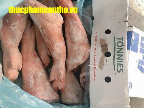 Chân trước heo nguyên cái tonnies Đông lạnh nhập khẩu Đức, thùng 20-22kg (7)