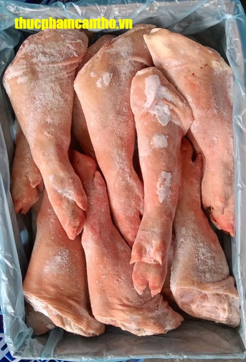 Chân trước heo nguyên cái tonnies Đông lạnh nhập khẩu Đức, thùng 20-22kg (9)