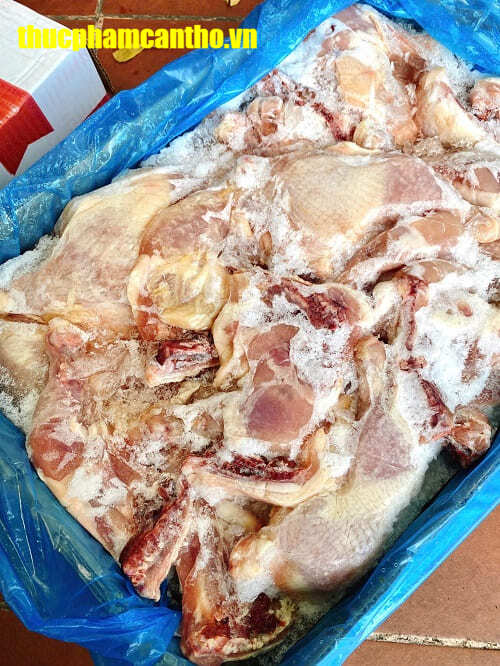 Đùi Gà Góc Tư Tyson thùng 15-20kg, Nhập Khẩu Chính Ngạch Từ Mỹ (1)