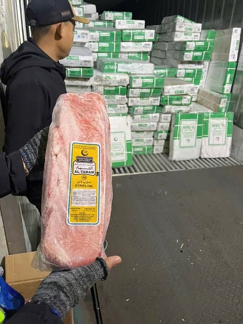 Lóc gân trâu ấn độ mã 46B al tamam -3