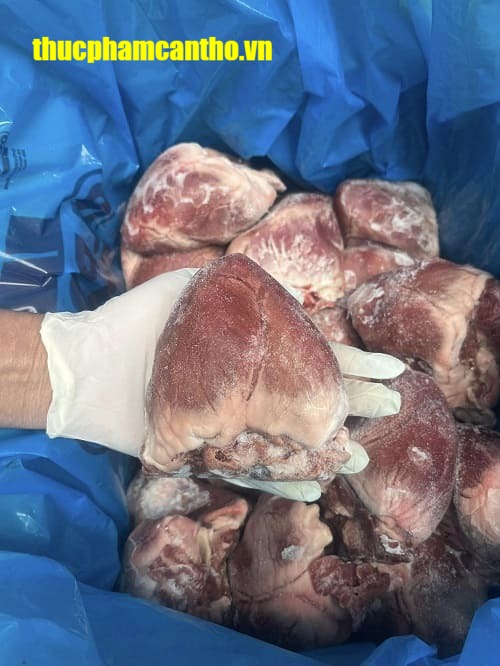 Tim heo ElPozo đông lạnh Nhập khẩu Tây Ban Nha (12)