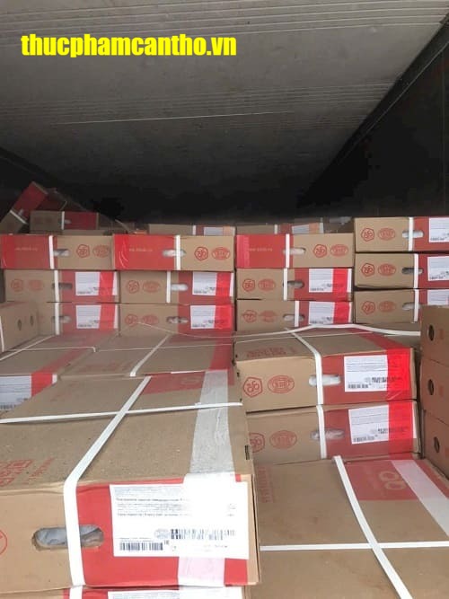 ba rọi dây heo q6 -3